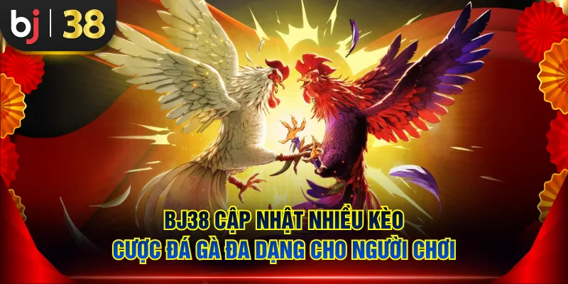 BJ38 cập nhật nhiều kèo cược Đá Gà đa dạng cho người chơi