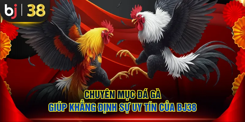 Chuyên mục Đá Gà giúp khẳng định sự uy tín của BJ38
