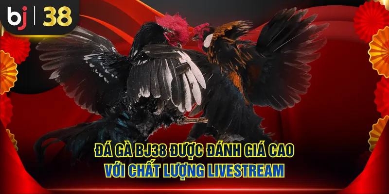 Đá Gà BJ38 được đánh giá cao với chất lượng livestream
