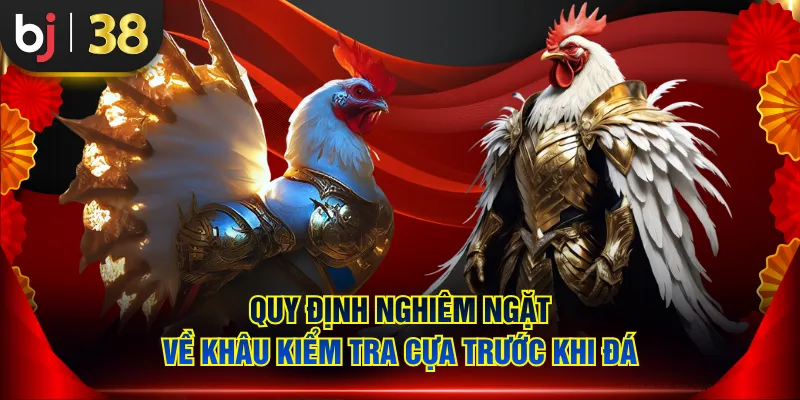 Quy định nghiêm ngặt về khâu kiểm tra cựa trước khi đá