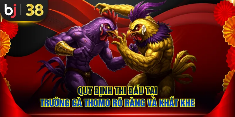 Quy định thi đấu tại trường gà Thomo rõ ràng và khắt khe